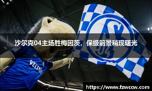 沙尔克04主场胜梅因茨，保级前景稍现曙光
