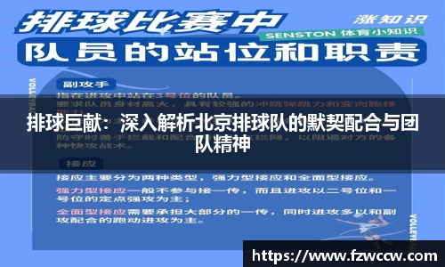 排球巨献：深入解析北京排球队的默契配合与团队精神