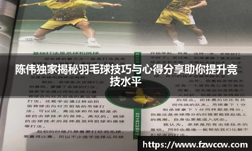 陈伟独家揭秘羽毛球技巧与心得分享助你提升竞技水平